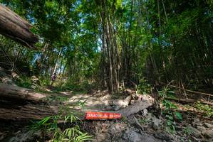 BIB: 
                            <button type="button" onclick="openModal(19387712)" class="btn btn-primary btn-sm float-right btn-popup" data-toggle="modal" data-target=".modal-high-quality">
                        <i class="fas fa-shopping-cart"></i> Add to Cart
                    </button>
                                            <button type="button" onclick="isThisMe(19387712, true)" class="btn btn-success btn-sm float-right btn-popup btn-isme hidden" data-toggle="tooltip" data-placement="bottom" title="นี่คือรูปของคุณใช่ไหม คลิกที่นี่เพื่อเอาเข้าอัลบั้ม">
                        <i class="fas fa-plus"></i> Add to album
                    </button>
                    <button type="button" onclick="isThisMe(19387712, false)" class="btn btn-warning btn-sm float-right btn-popup btn-isnotme hidden">
                        <i class="fas fa-ban"></i> Remove from album
                    </button>